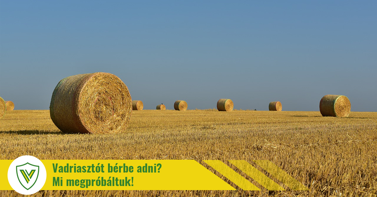 Vadriasztót bérbe adni? Megpróbáltuk!