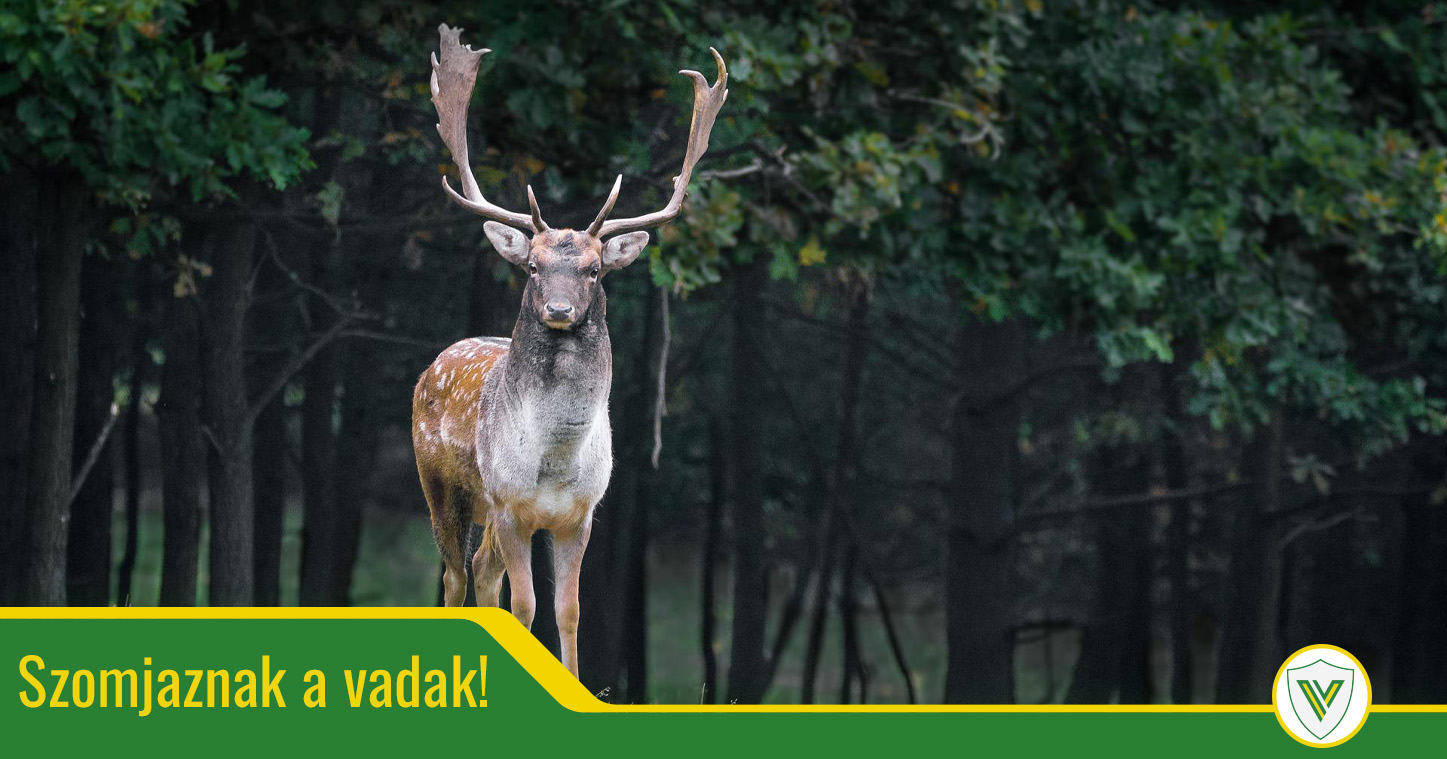 Ez az állatriasztó elriasztja a vadat, a madarat de még az egeret is!