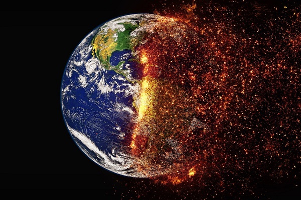 Hogyan hat a globális felmelegedés az állatokra?