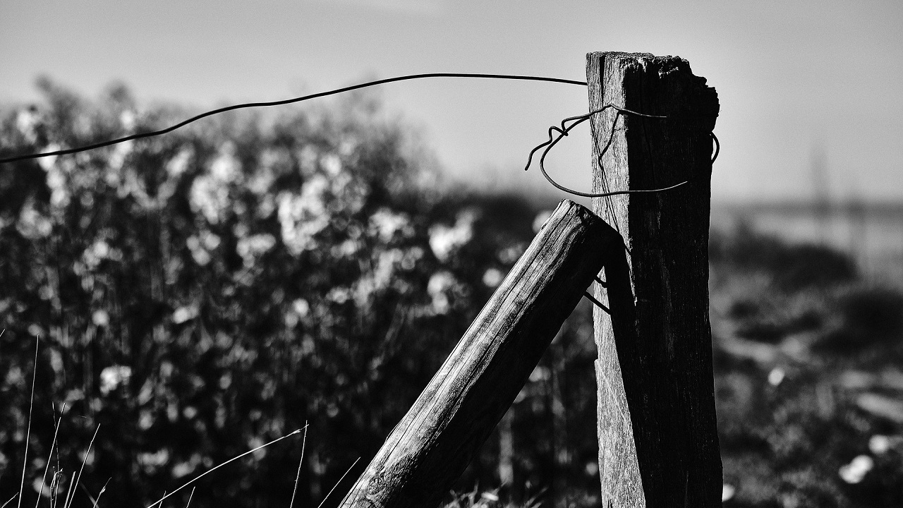 A koronavírus 10 legjelentősebb hatása az agráriumra