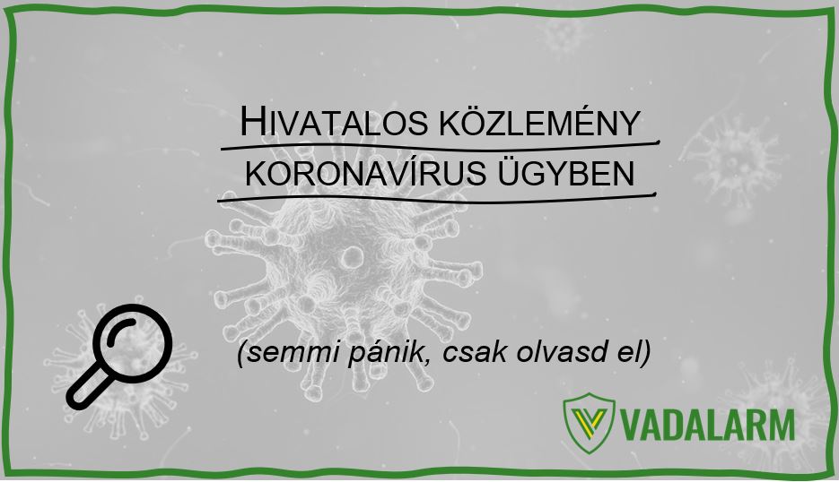 A Vadalarm hivatalos közleménye a koronavírus helyzetről