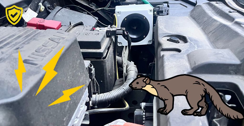 Wie sehr lieben die Marder Elektroautos?