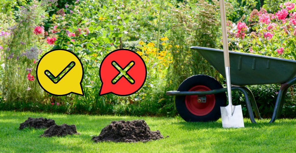 A vakondtúrás aranyat ér - bizonyos esetekben