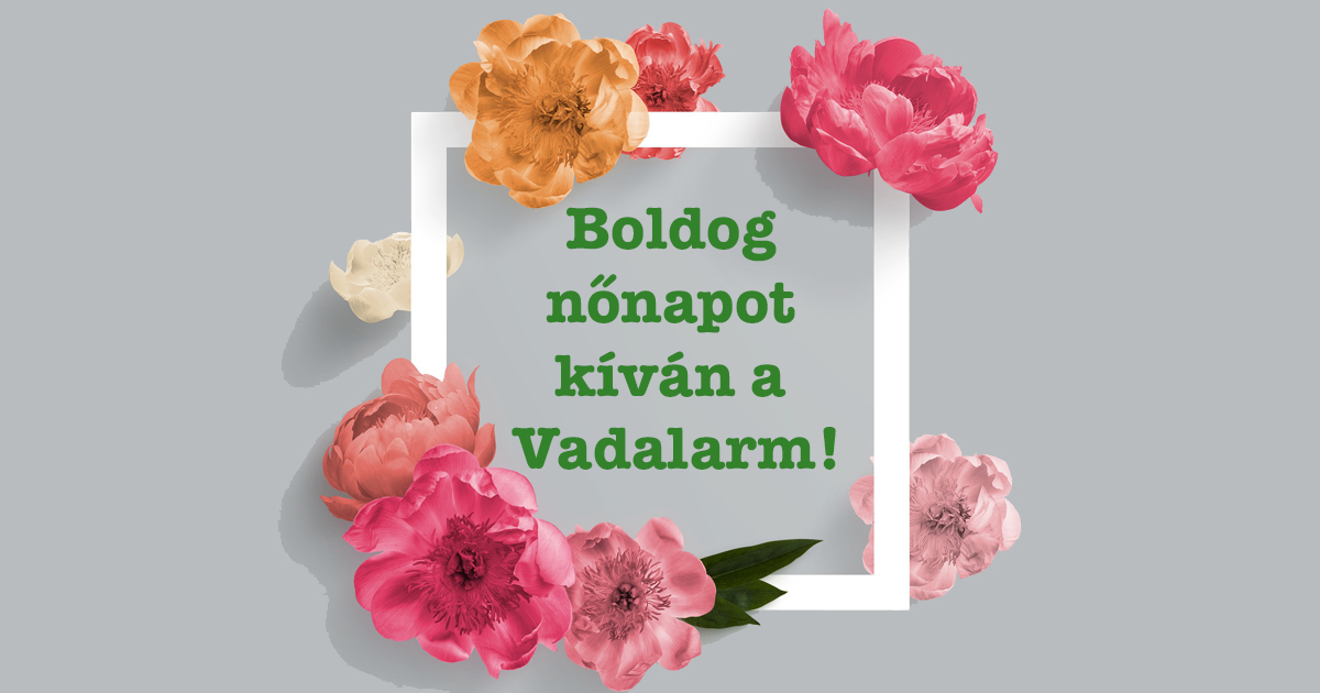 Boldog nőnapot minden Férfi Vadalarm Dolgozó nevében!