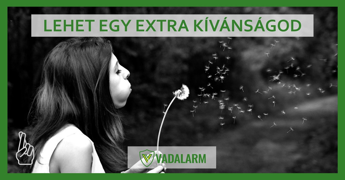 Egyedi igényeket nem szoktunk megvalósítani. Kivéve ha....